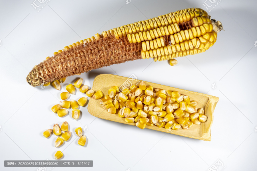 玉米