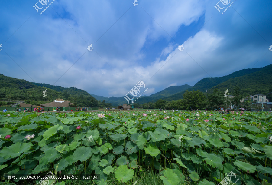 安吉余村