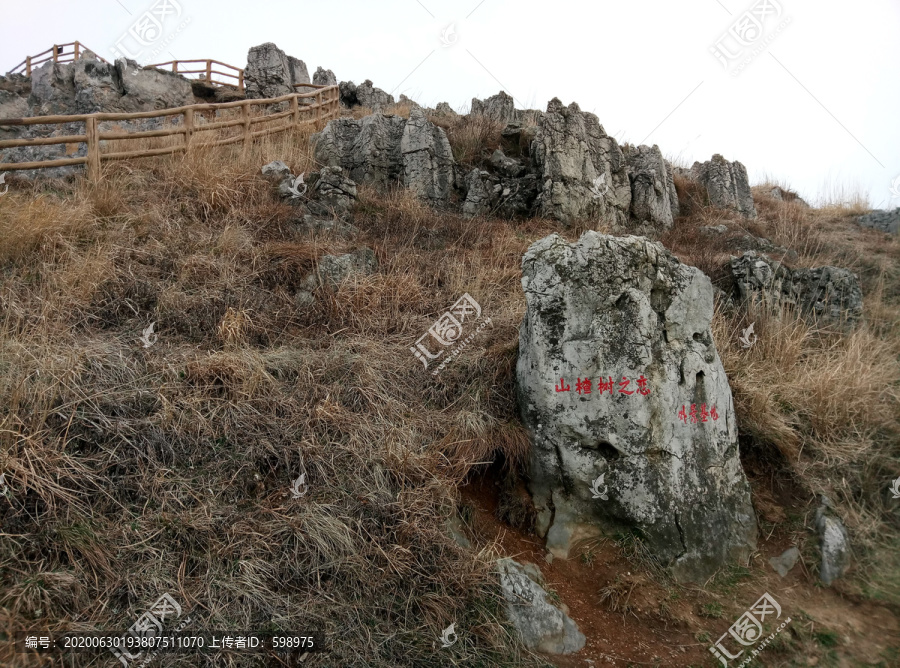 山楂树外景地