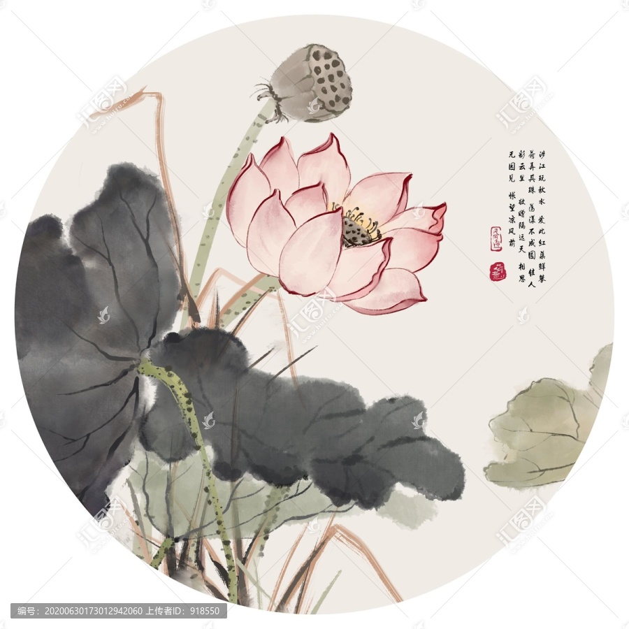 寫意荷花