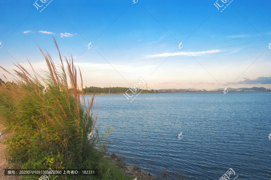 湖景