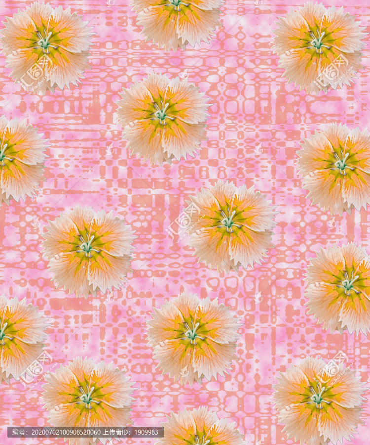 數(shù)碼印花