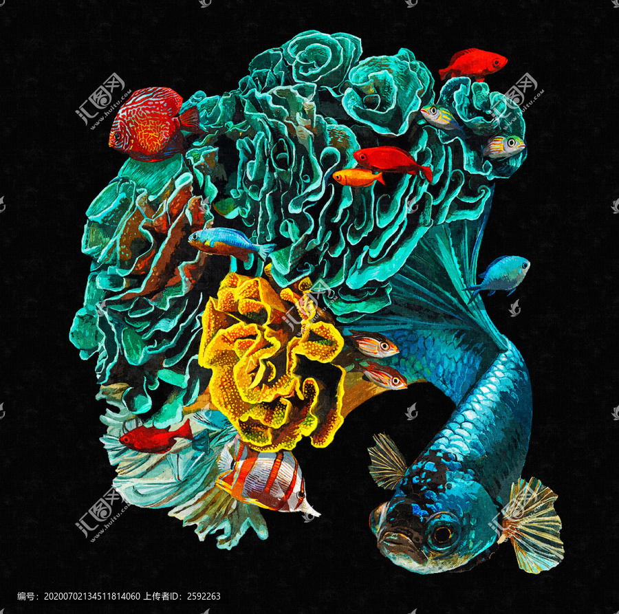 花色魚兒