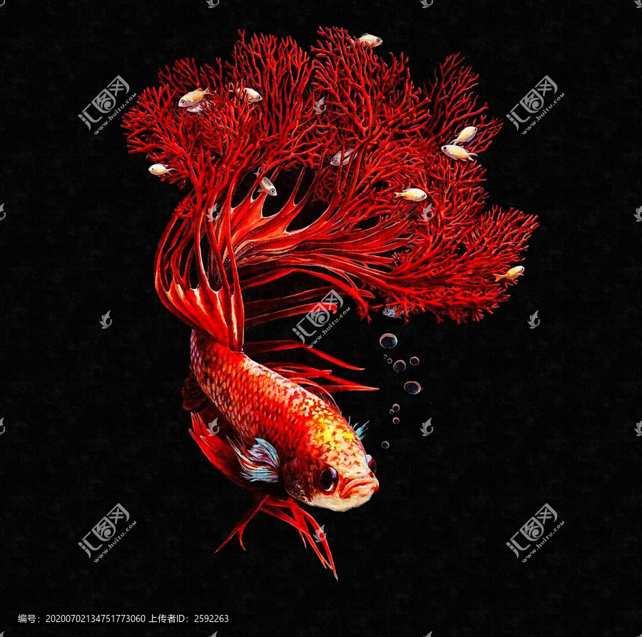 紅水藻魚