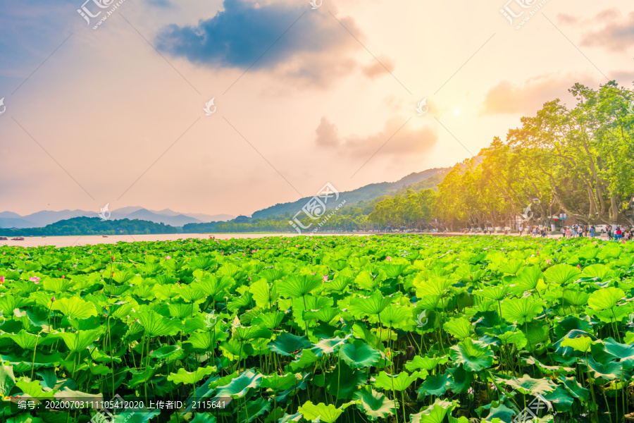 杭州西湖夏天落日黄昏