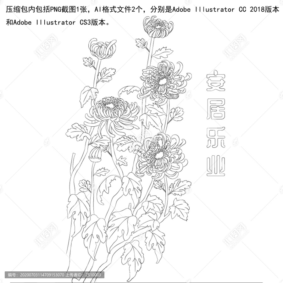 菊花手繪線稿圖AI格式菊花線