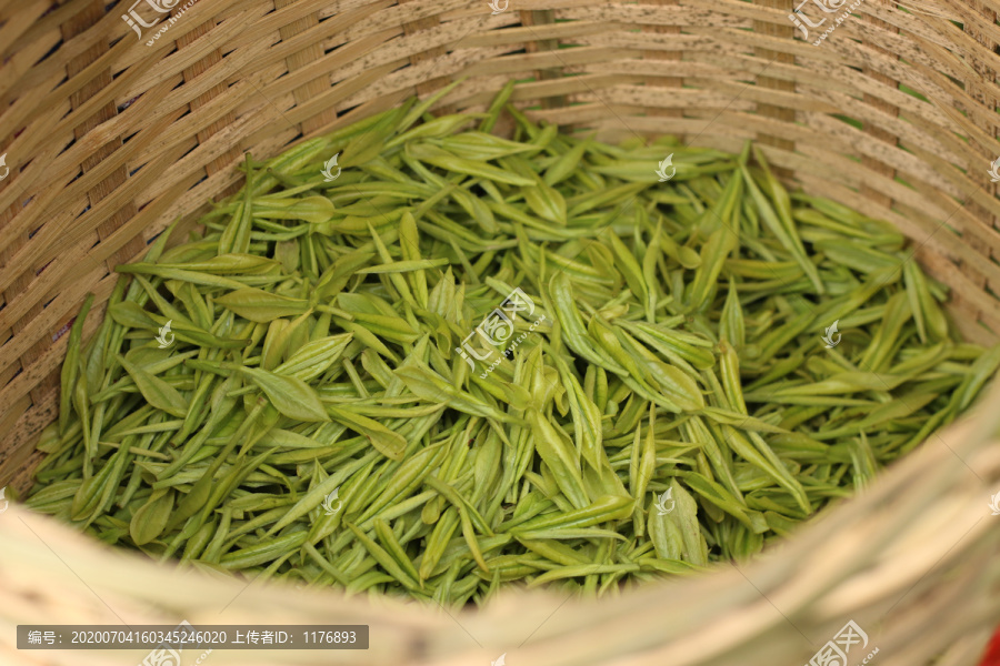 茶篓里新采的茶叶