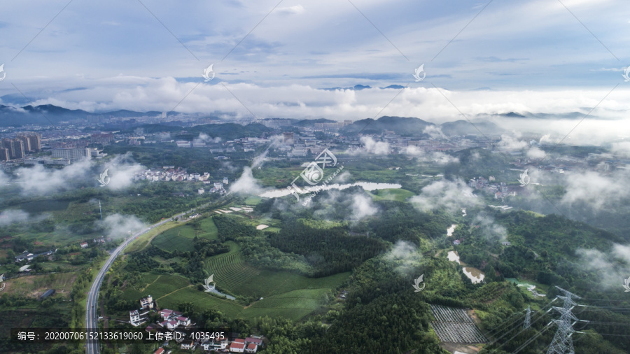 雨后茶园