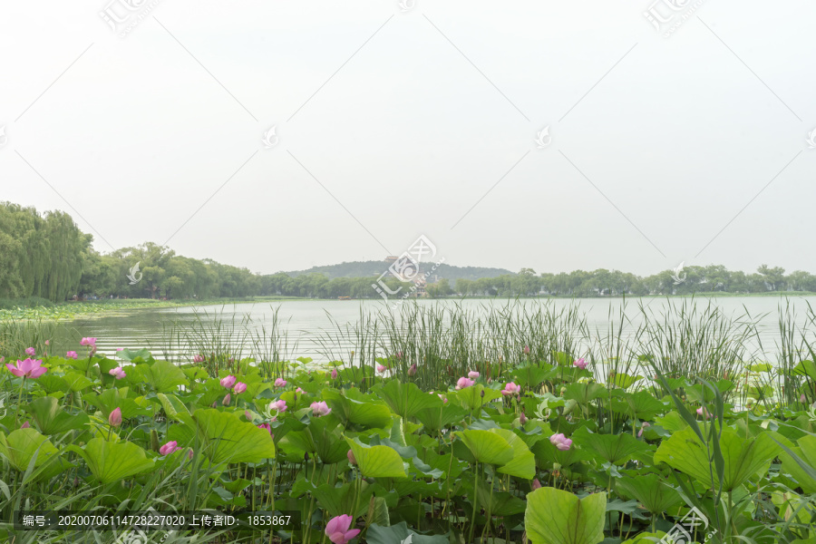 昆明湖