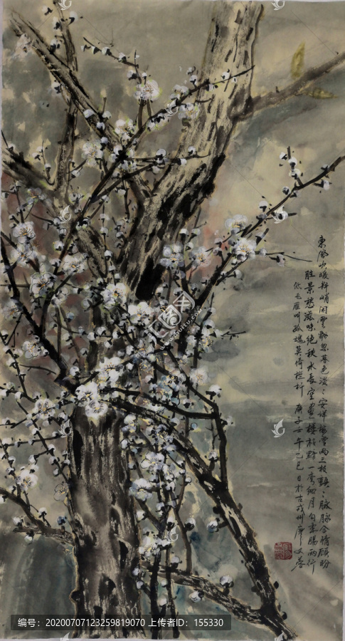 國(guó)畫白梅