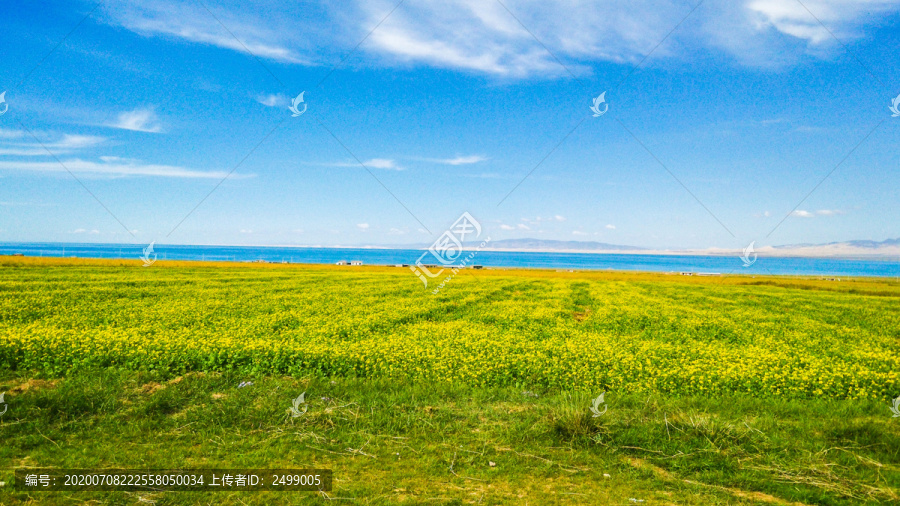 青海湖