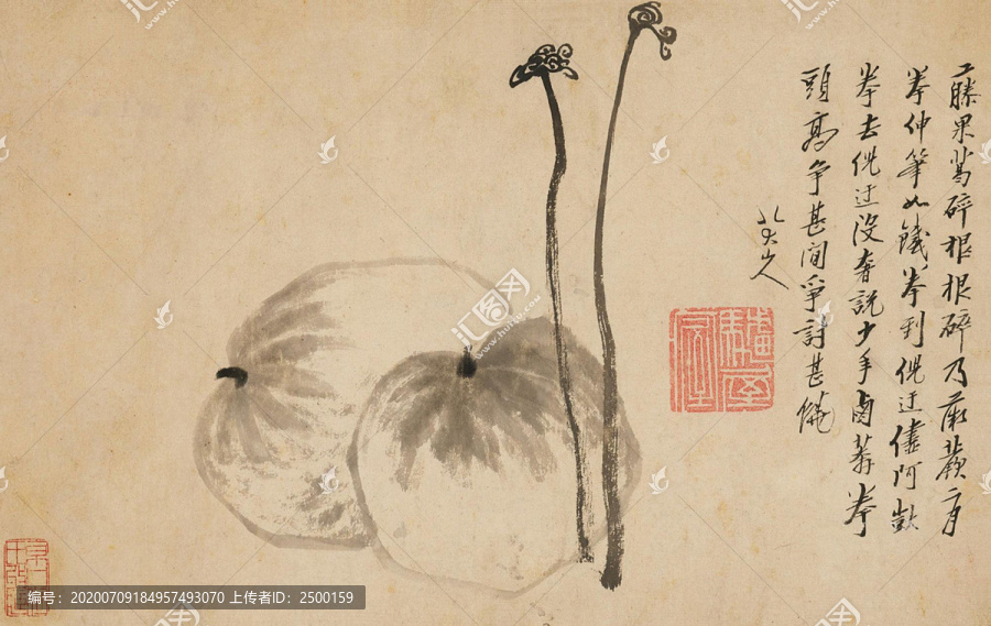 八大山人水墨畫蕨瓜圖