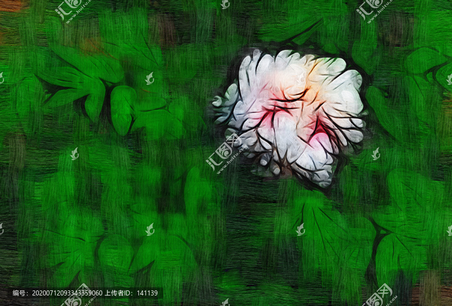 牡丹花油畫