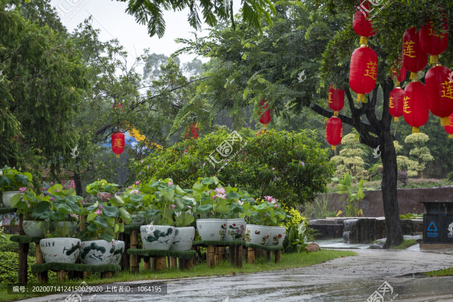 雨后莲花山