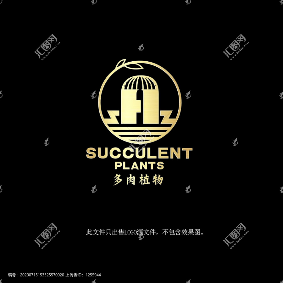 多肉植物