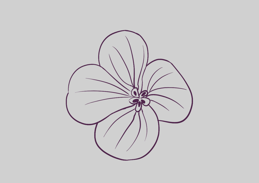 原创手绘植物单个花朵花瓣勾线