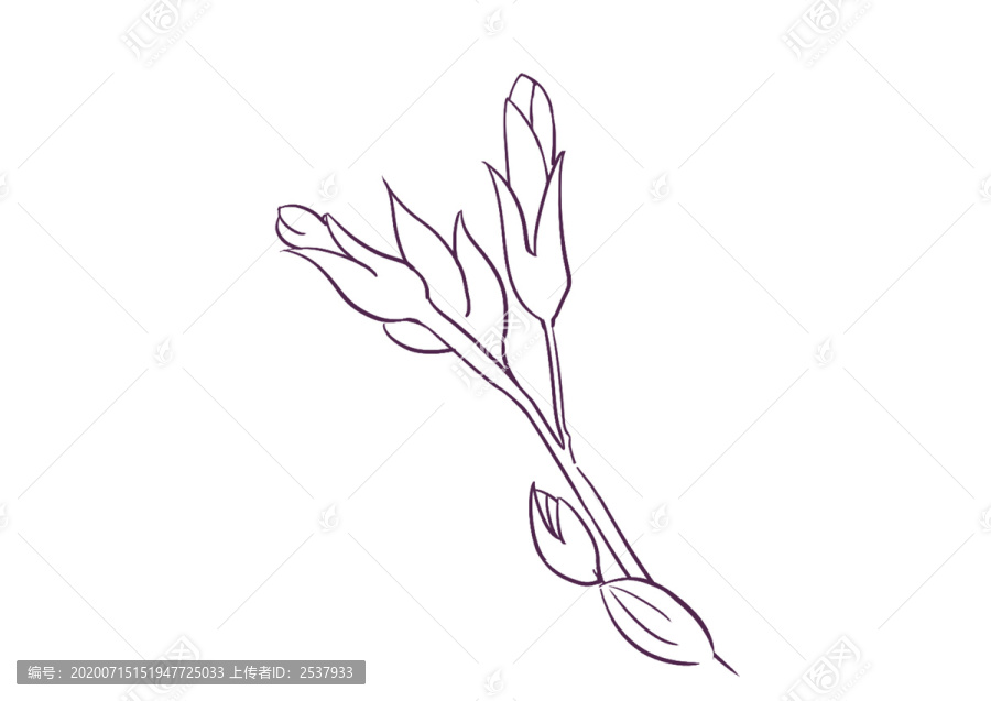 原創(chuàng)手繪植物花枝花卉枝丫勾線