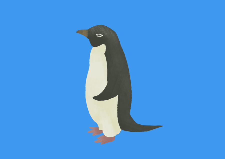 原创手绘插画动物卡通南极企鹅