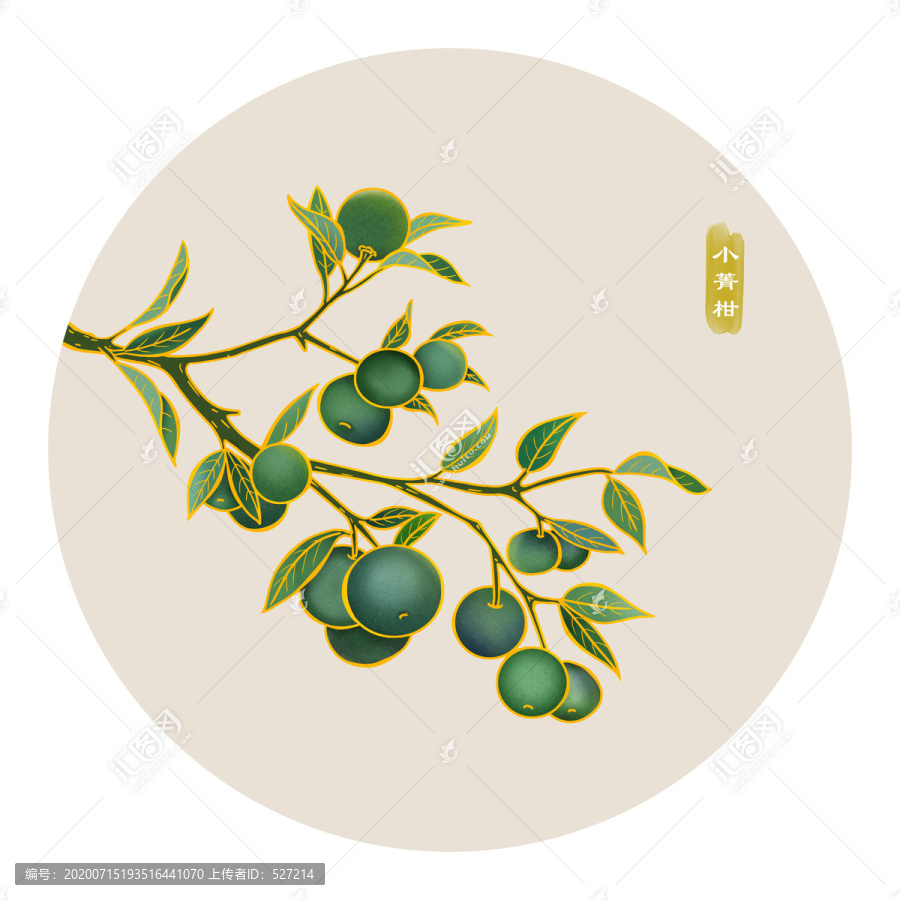 小青柑橘子桔子