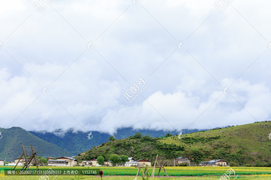 香格里拉依拉草原