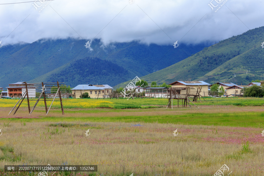 香格里拉依拉草原