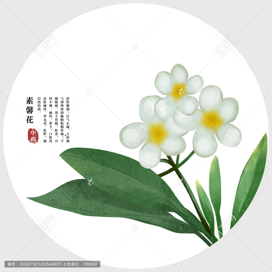素馨花