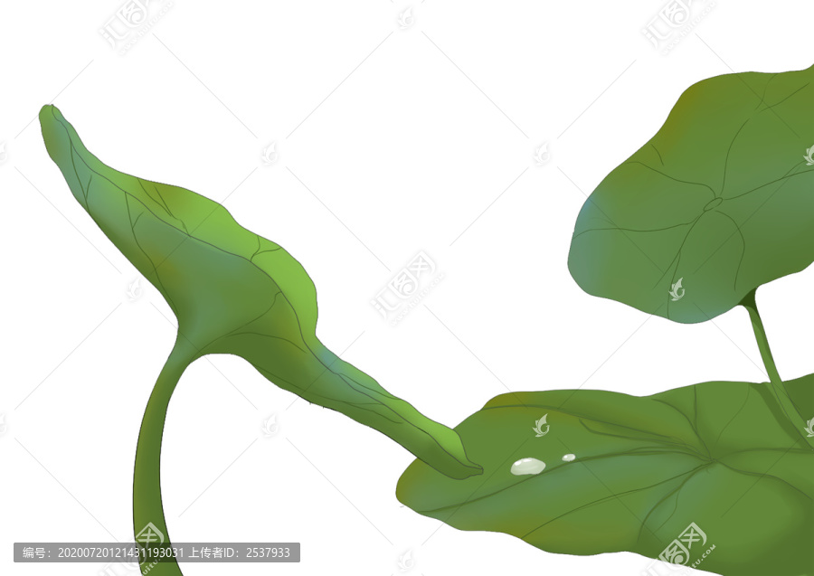 原創(chuàng)手繪插畫古典中國風(fēng)荷花荷葉