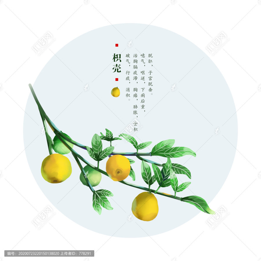 枳殼