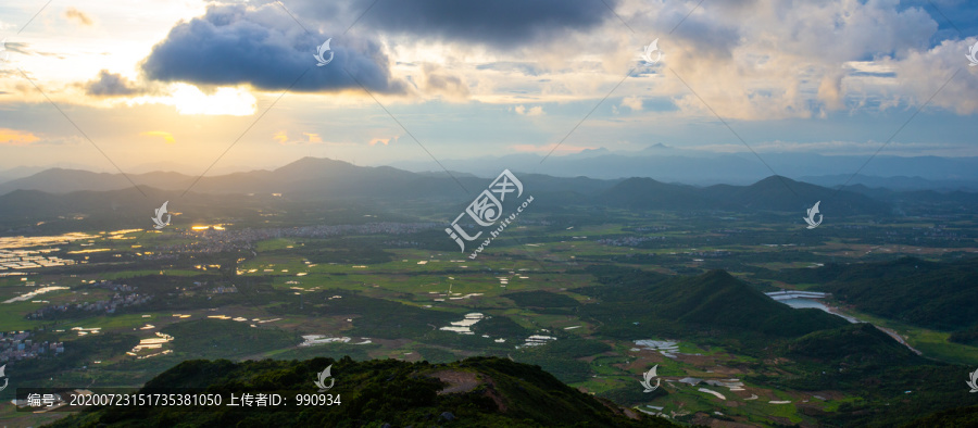 田野