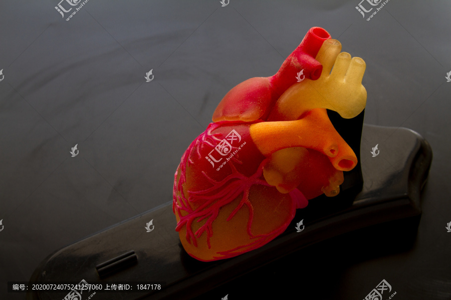 3D打印心脏