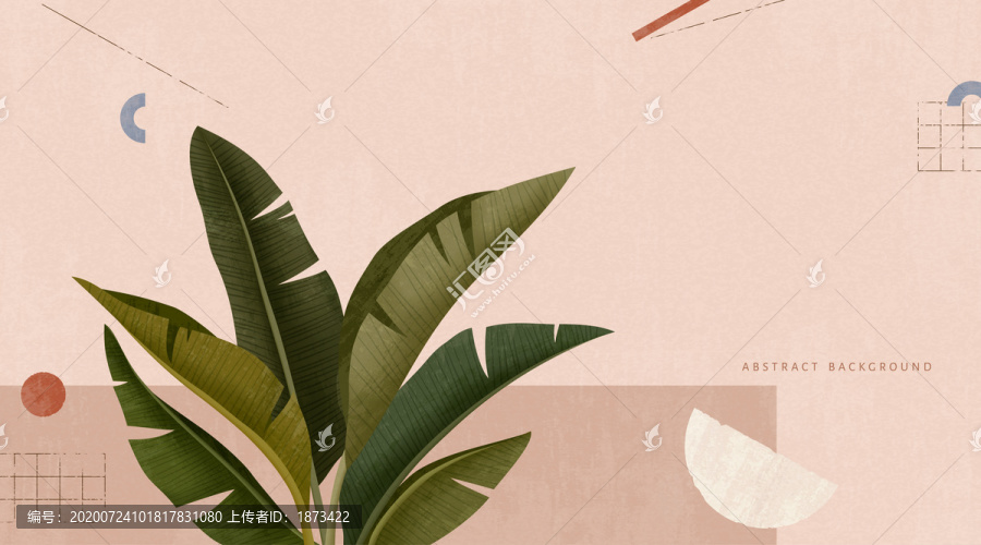 热带芭蕉叶与极简几何背景