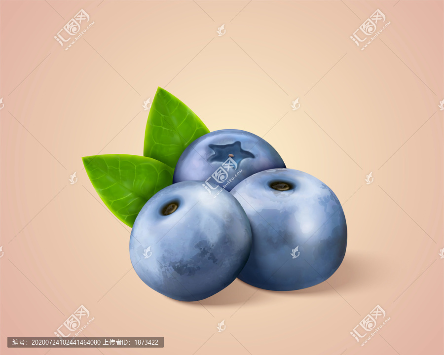 蓝莓或山桑子特写