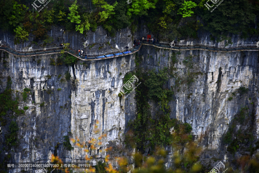 贵州油杉河仙宇峰