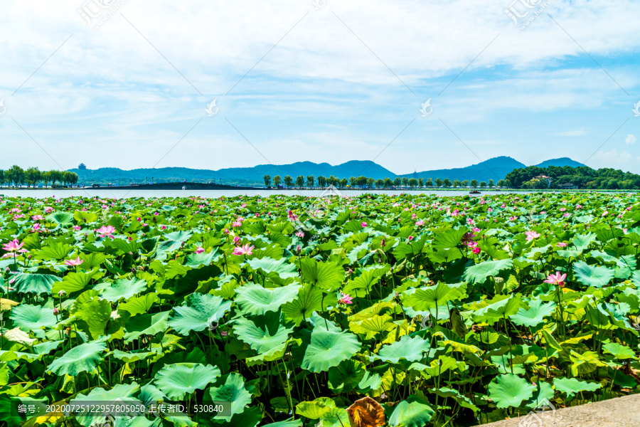 西湖山水