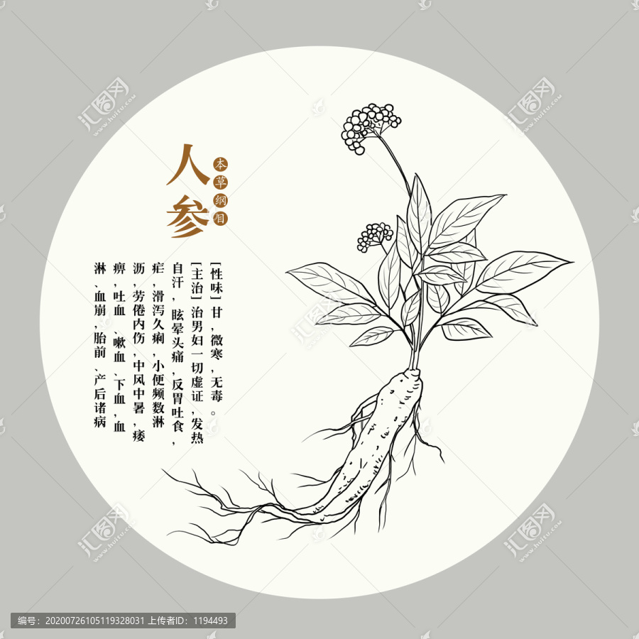 手繪人參