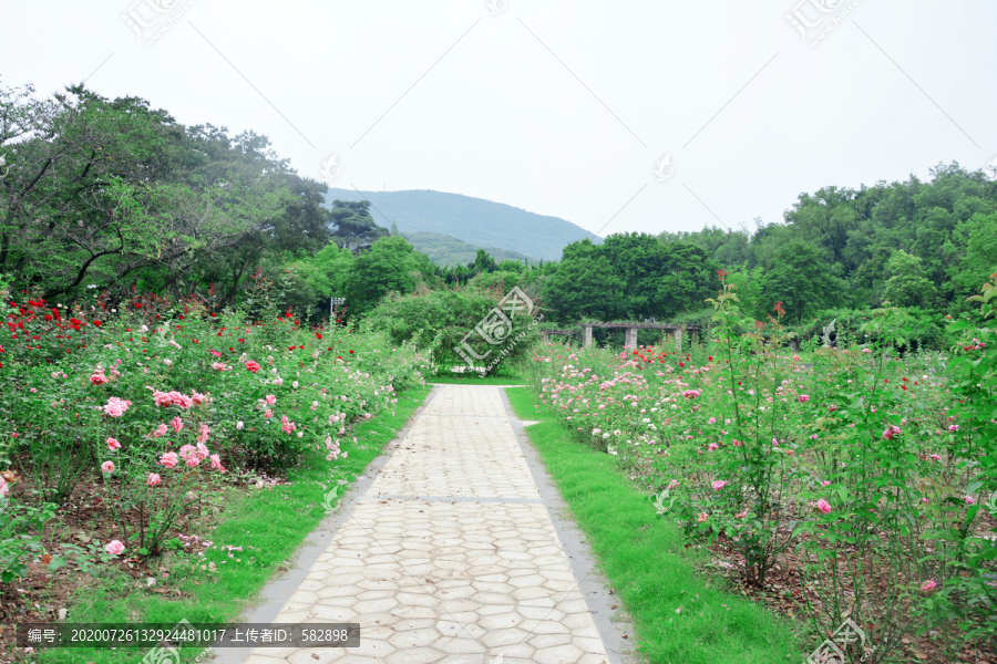 花园小路