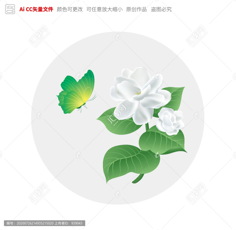 茉莉蝴蝶