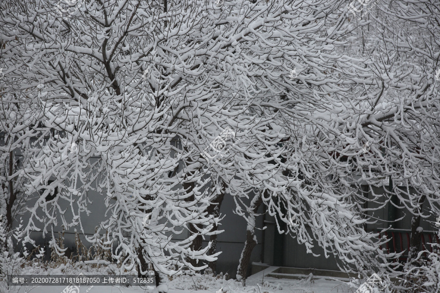 大雪