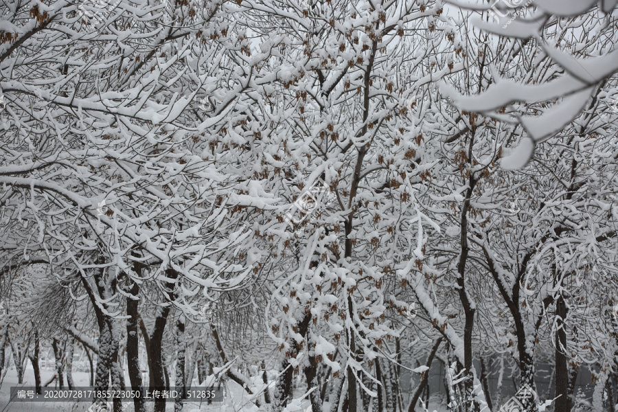 大雪