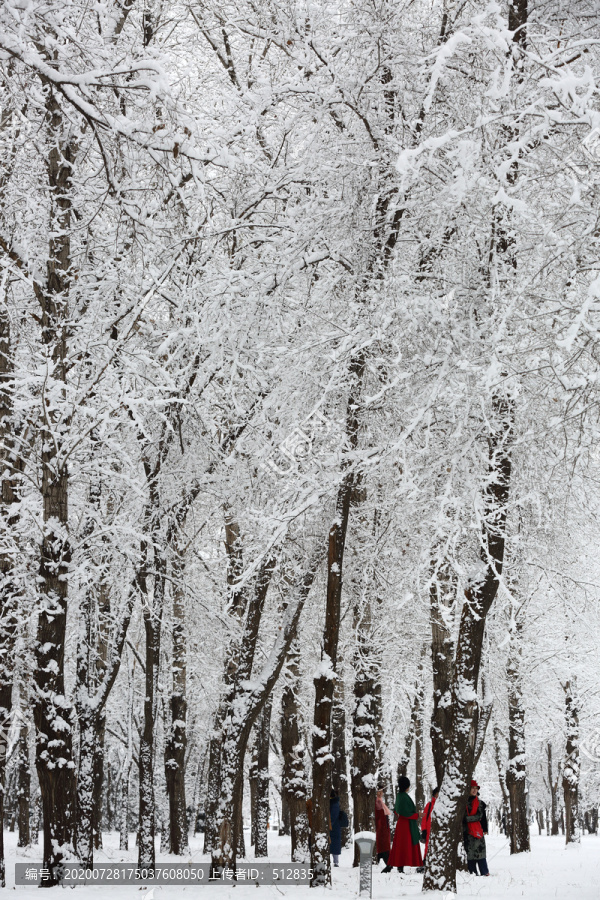 大雪