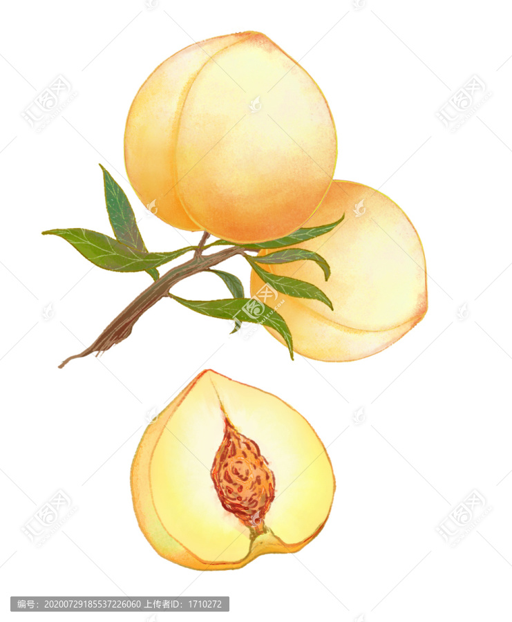 黃桃原創(chuàng)手繪水彩插畫