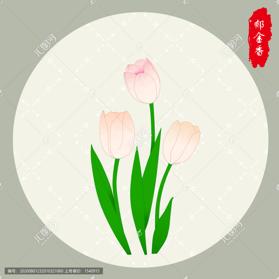 郁金香