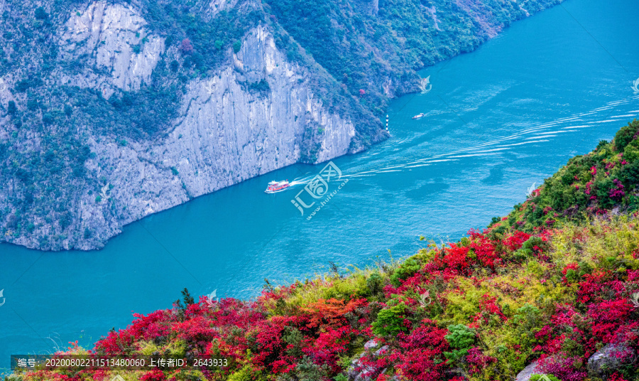 三峡红