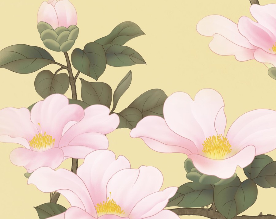 山茶花