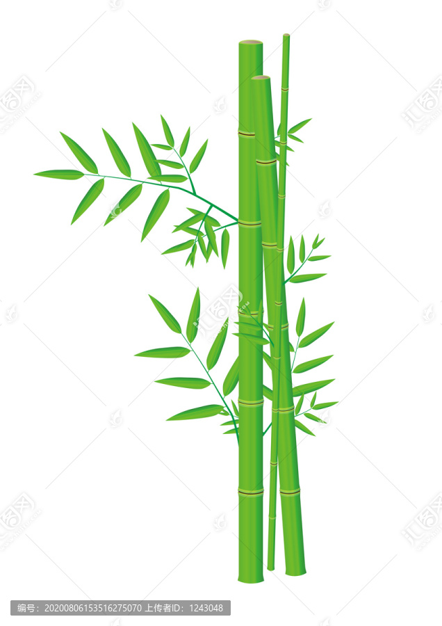 竹子