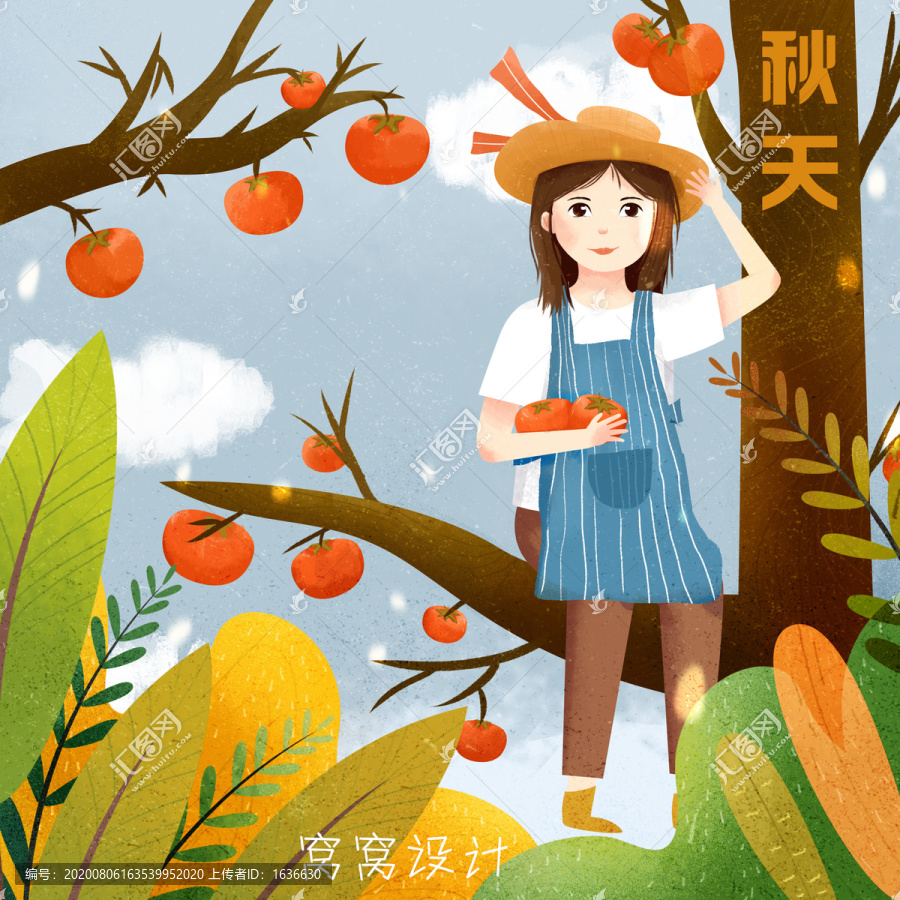 秋天摘柿子