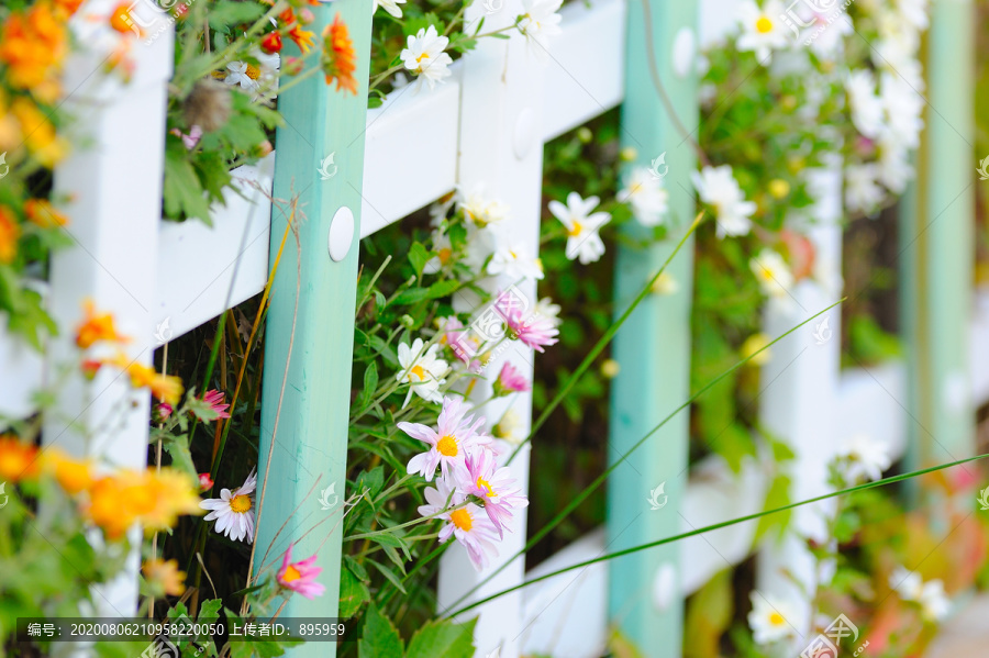 鲜花围栏