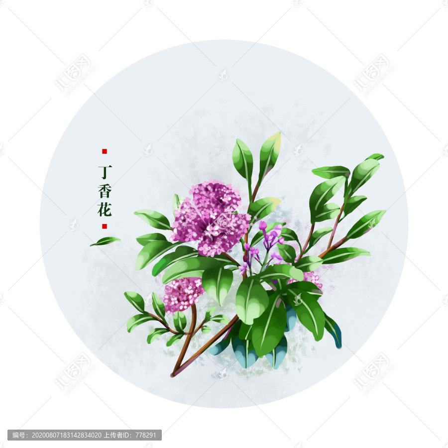 丁香花