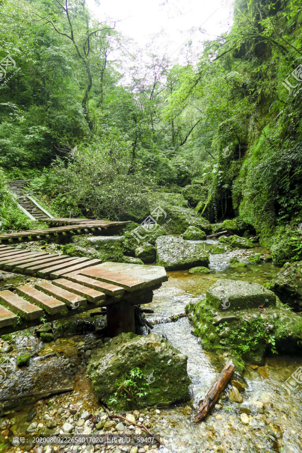 青城后山风景区