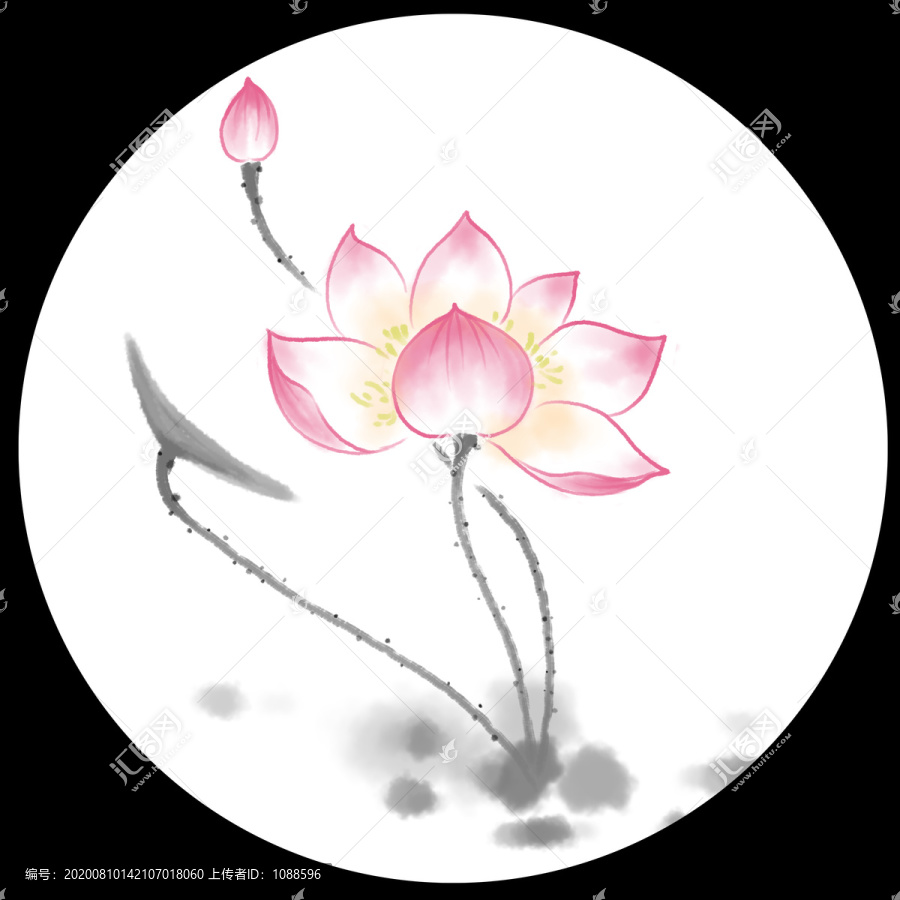 荷花